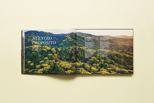 BOSQUES MGICOS自然摄影书籍设计